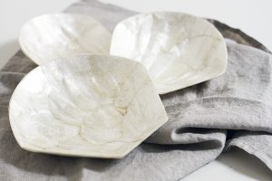 shell dishes