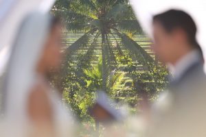 blog bali bride ricefields